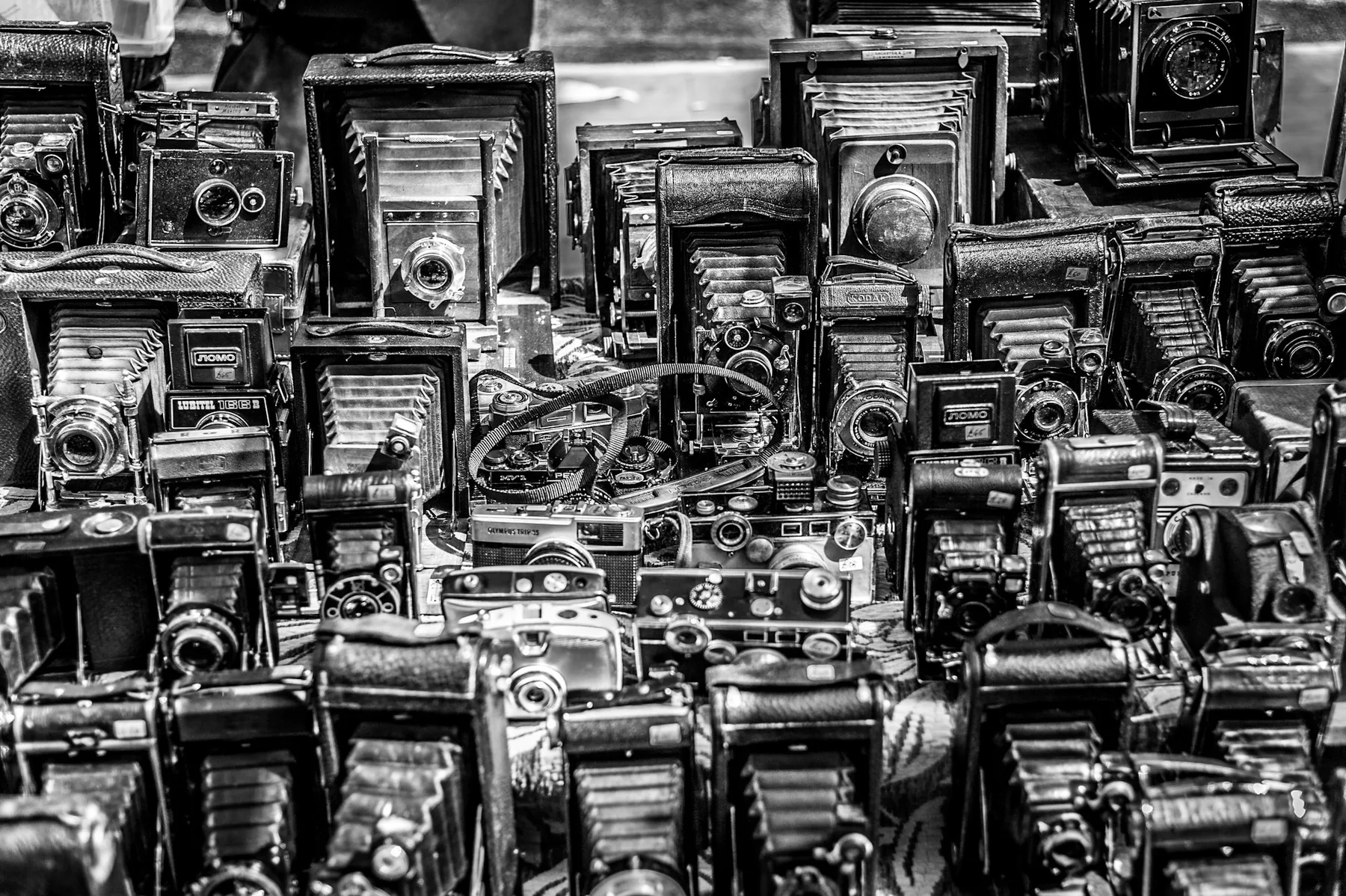 Representative collection of antique cameras
